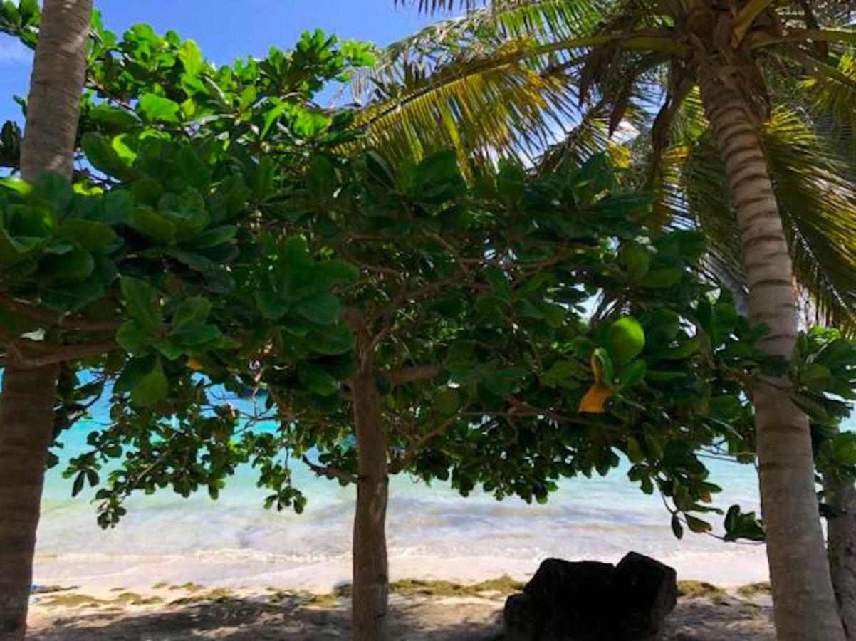 Bequia Beachfront Villa Hotel Friendship 외부 사진
